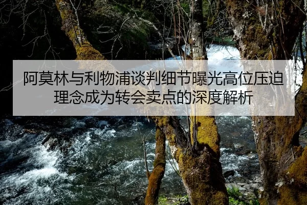 阿莫林与利物浦谈判细节曝光高位压迫理念成为转会卖点的深度解析