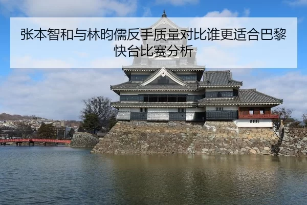 张本智和与林昀儒反手质量对比谁更适合巴黎快台比赛分析